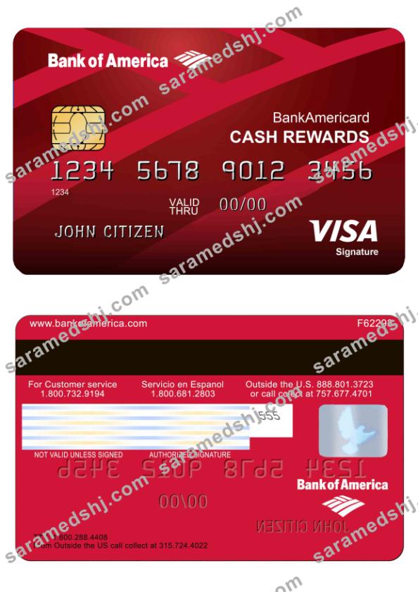 USA Bank of America Visa card 1